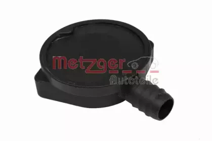 metzger-2385003